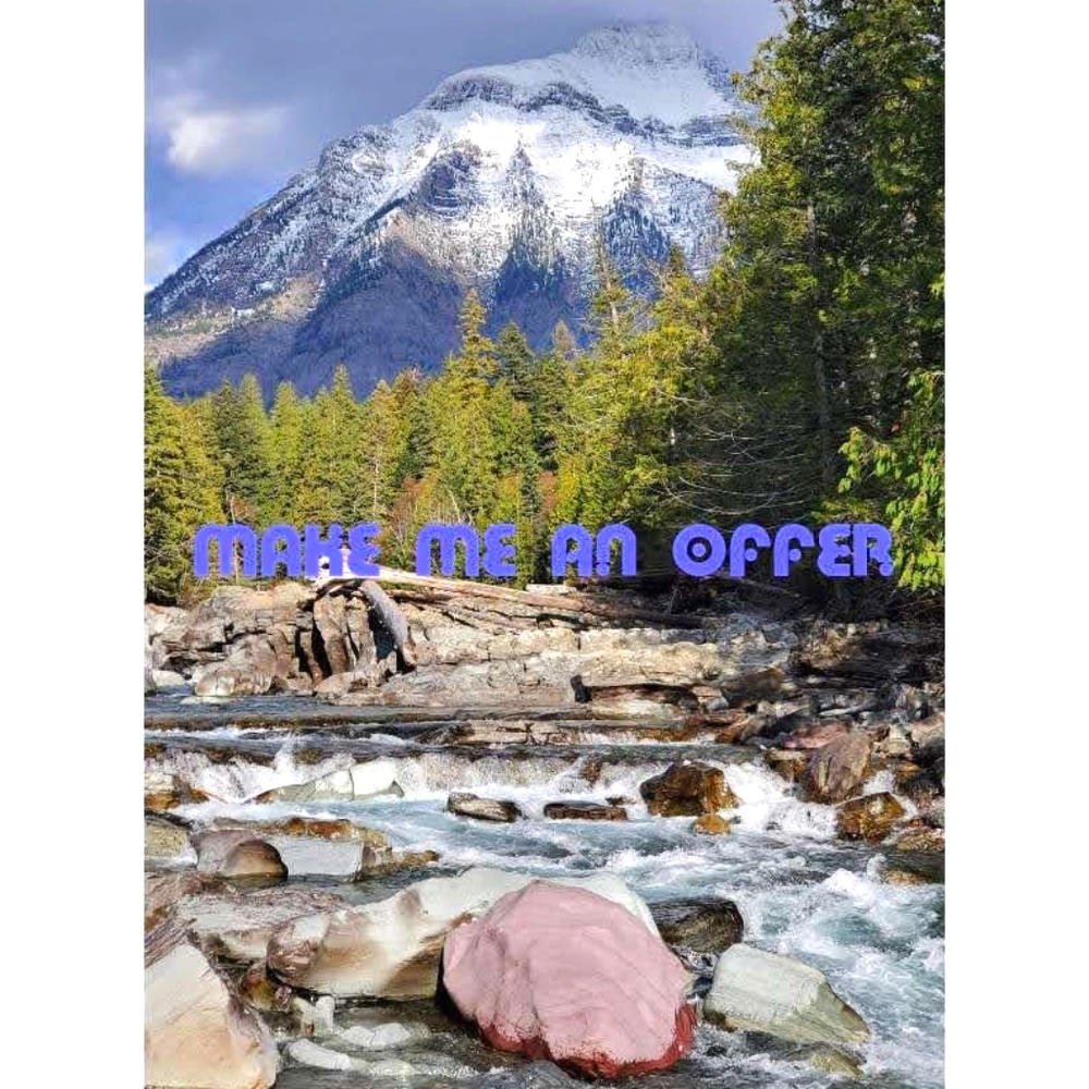 Accepting Reasonable Offers